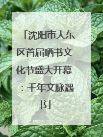 沈阳市大东区首届晒书文化节盛大开幕：千年文脉遇书