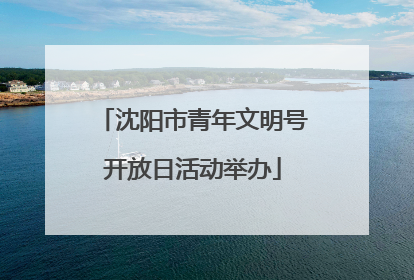 沈阳市青年文明号开放日活动举办