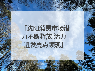 沈阳消费市场潜力不断释放 活力迸发亮点频现