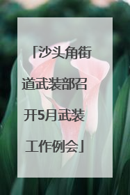 沙头角街道武装部召开5月武装工作例会