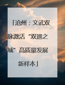 沧州：文武双脉激活“双遗之城”高质量发展新样本