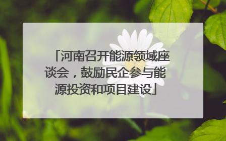 河南召开能源领域座谈会，鼓励民企参与能源投资和项目建设