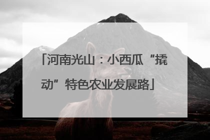 河南光山：小西瓜“撬动”特色农业发展路