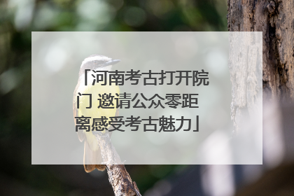 河南考古打开院门 邀请公众零距离感受考古魅力