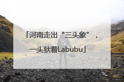 河南走出“三头象”，一头驮着Labubu