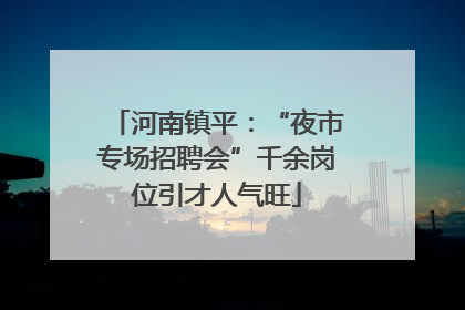 河南镇平：“夜市专场招聘会”千余岗位引才人气旺