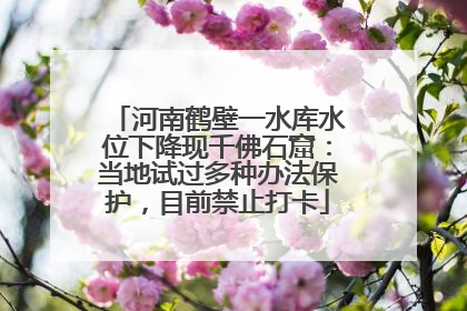 河南鹤壁一水库水位下降现千佛石窟：当地试过多种办法保护，目前禁止打卡