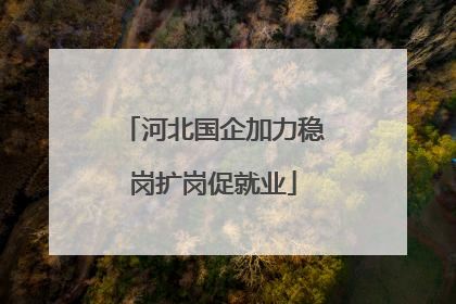 河北国企加力稳岗扩岗促就业