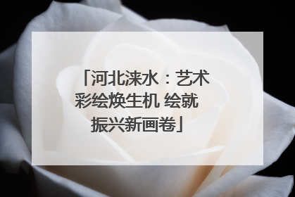河北涞水：艺术彩绘焕生机 绘就振兴新画卷