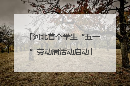 河北首个学生“五一”劳动周活动启动