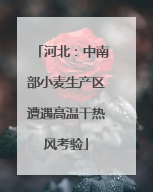 河北：中南部小麦生产区遭遇高温干热风考验
