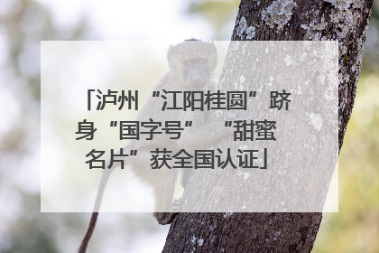 泸州“江阳桂圆”跻身“国字号” “甜蜜名片”获全国认证