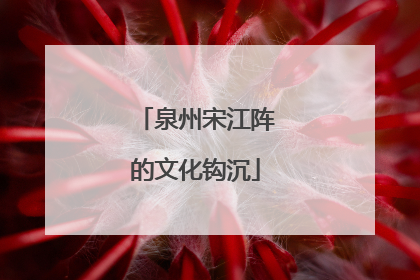 泉州宋江阵的文化钩沉