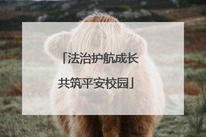 法治护航成长 共筑平安校园