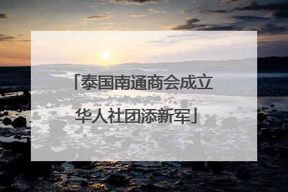 泰国南通商会成立 华人社团添新军