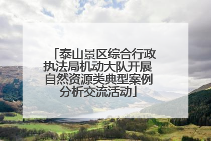 泰山景区综合行政执法局机动大队开展自然资源类典型案例分析交流活动