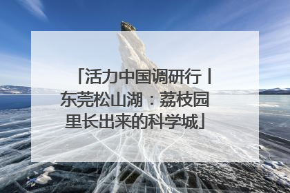 活力中国调研行丨东莞松山湖：荔枝园里长出来的科学城