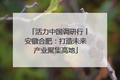 活力中国调研行丨安徽合肥：打造未来产业聚集高地