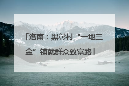 洛南：黑彰村“一地三金”铺就群众致富路