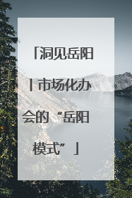 洞见岳阳丨市场化办会的“岳阳模式”
