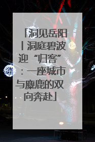 洞见岳阳丨洞庭碧波迎“归客”：一座城市与麋鹿的双向奔赴