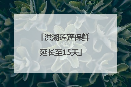 洪湖莲蓬保鲜延长至15天