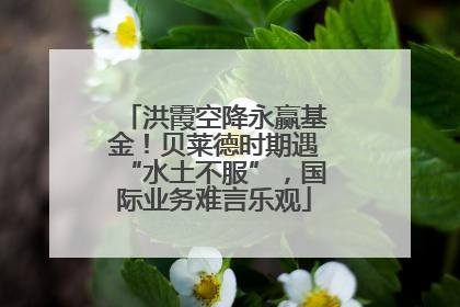 洪霞空降永赢基金！贝莱德时期遇“水土不服”，国际业务难言乐观