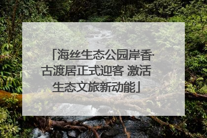 海丝生态公园岸香·古渡居正式迎客 激活生态文旅新动能
