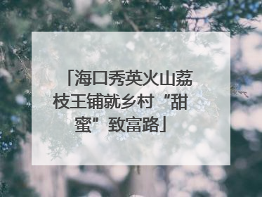海口秀英火山荔枝王铺就乡村“甜蜜”致富路
