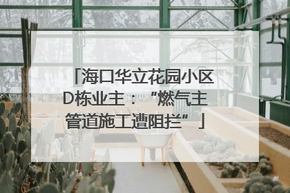 海口华立花园小区D栋业主：“燃气主管道施工遭阻拦”