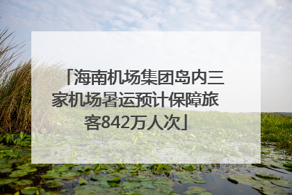 海南机场集团岛内三家机场暑运预计保障旅客842万人次