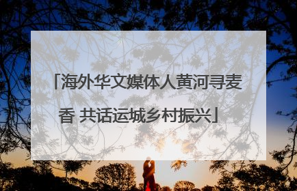 海外华文媒体人黄河寻麦香 共话运城乡村振兴