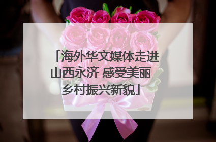 海外华文媒体走进山西永济 感受美丽乡村振兴新貌