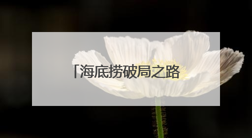 海底捞破局之路：顾客中心与创新源泉的双重奏