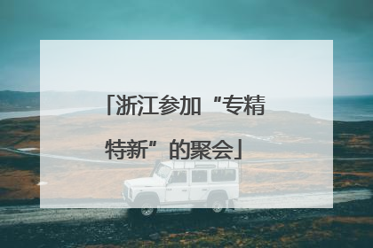 浙江参加“专精特新”的聚会