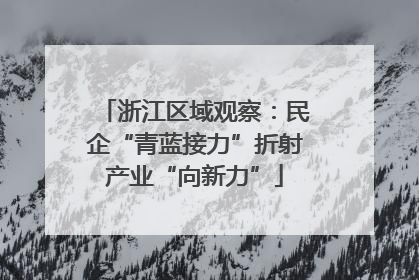 浙江区域观察：民企“青蓝接力”折射产业“向新力”