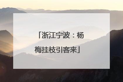 浙江宁波：杨梅挂枝引客来