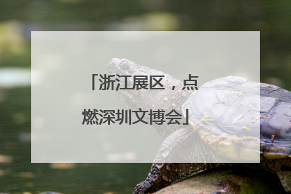 浙江展区，点燃深圳文博会