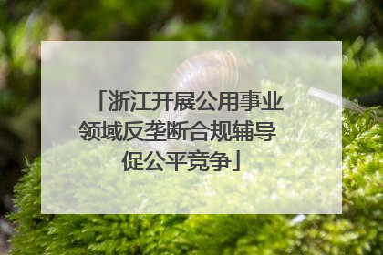 浙江开展公用事业领域反垄断合规辅导 促公平竞争
