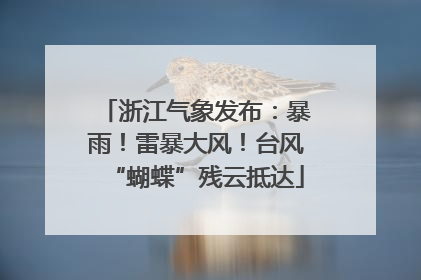 浙江气象发布：暴雨！雷暴大风！台风“蝴蝶”残云抵达