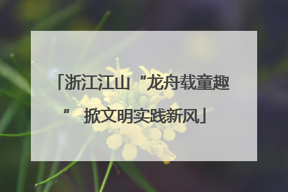 浙江江山“龙舟载童趣” 掀文明实践新风