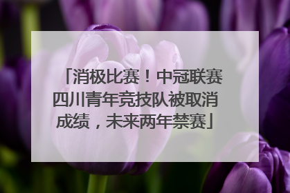 消极比赛！中冠联赛四川青年竞技队被取消成绩，未来两年禁赛