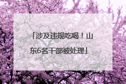 涉及违规吃喝！山东6名干部被处理