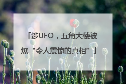 涉UFO，五角大楼被爆“令人震惊的真相”