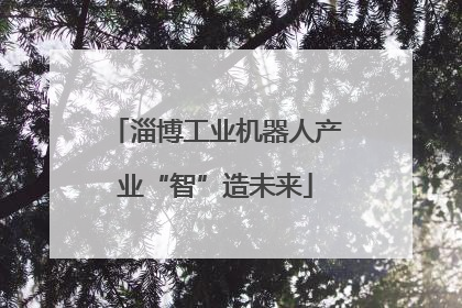 淄博工业机器人产业“智”造未来