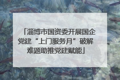 淄博市国资委开展国企党建“上门服务月”破解难题助推党建赋能