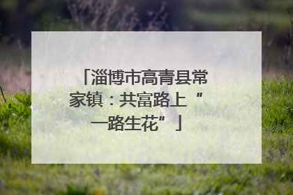 淄博市高青县常家镇：共富路上“一路生花”