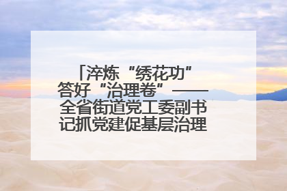 淬炼“绣花功” 答好“治理卷”——全省街道党工委副书记抓党建促基层治理培训示范班侧记