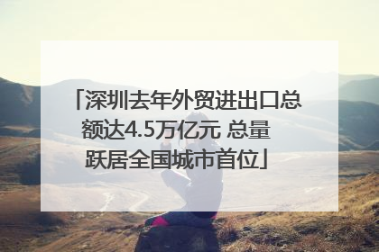 深圳去年外贸进出口总额达4.5万亿元 总量跃居全国城市首位