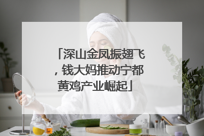 深山金凤振翅飞，钱大妈推动宁都黄鸡产业崛起